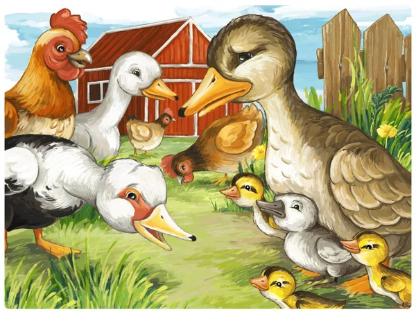 cartoon scene with ducks on the farm and rooster illustration for children