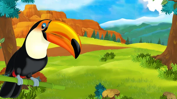Zeichentrickszene mit glücklichem Tukan, der auf einem Ast sitzt und schaut - Illustration für Kinder — Stockfoto
