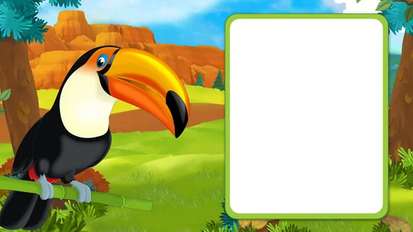Cartoon scene with happy toucan sitting on some branch and looking with frame for text - illustration for children — Stock Photo, Image