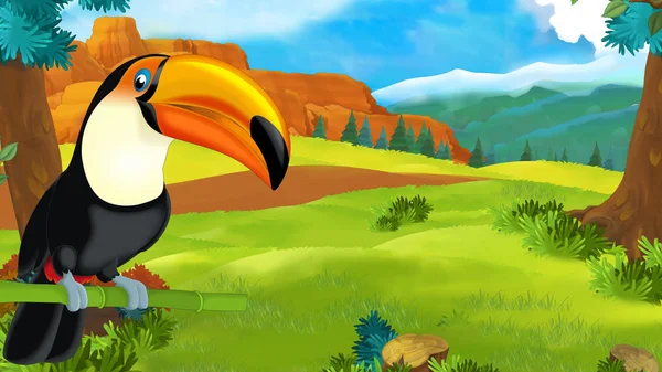 Cartoon scene with happy toucan sitting on some branch and looking - illustration for children — Stock Photo, Image