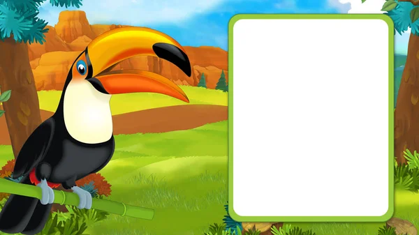 Cartoon scene with happy toucan sitting on some branch and looking with frame for text - illustration for children — Stock Photo, Image