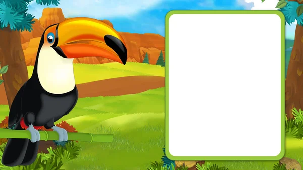 Cartoon scene with happy toucan sitting on some branch and looking with frame for text - illustration for children — Stock Photo, Image