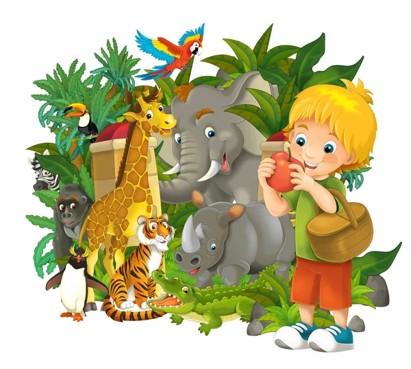Escena del zoológico de dibujos animados cerca de la entrada con diferentes animales - parque de atracciones - ilustración para niños —  Fotos de Stock