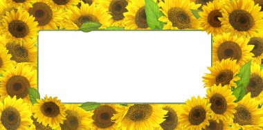 Çocuklar için beyaz arkaplanlı güzel ve renkli çiçekli karikatür sahnesi