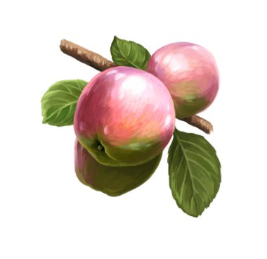 Beyaz arkaplanlı güzel elmalı karikatür sahnesi - çocuklar için resimleme