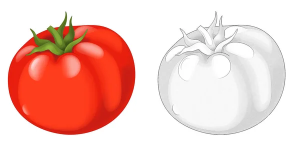 Dibujo Animado Escena Vegetal Buscando Ilustración Tomate Para Niños — Foto de Stock