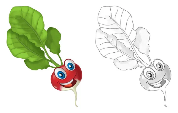 Dibujo Animado Escena Vegetal Sonriente Buscando Ensalada Rábano Ilustración Para —  Fotos de Stock