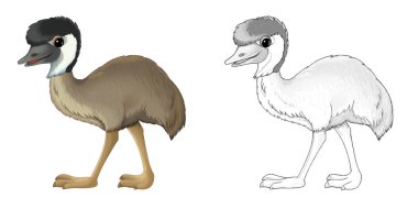 çocuklar için emu kuş resimli karikatür sahnesi