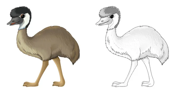Szkic Kreskówki Scena Emu Ptak Ilustracja Dla Dzieci — Zdjęcie stockowe