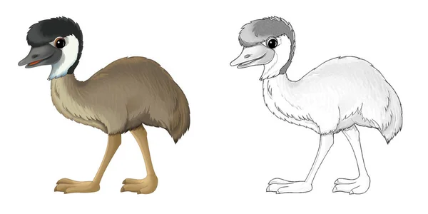 Dessin Animé Scène Croquis Avec Emu Oiseau Illustration Pour Les — Photo