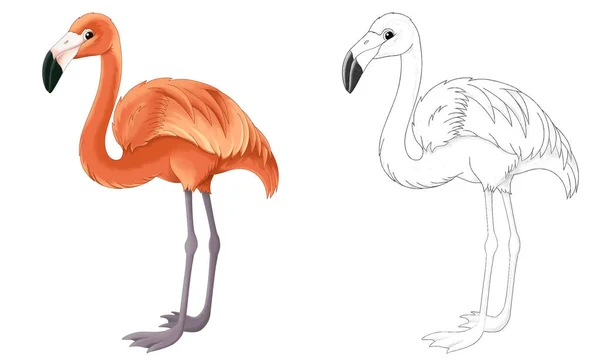 Zeichentrick Sketch Szene Mit Flamingo Vogel Illustration Für Kinder — Stockfoto