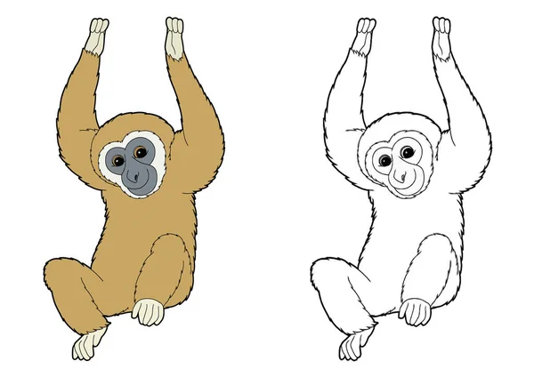 Dessin Animé Scène Croquis Avec Singe Singe Sur Fond Blanc — Photo