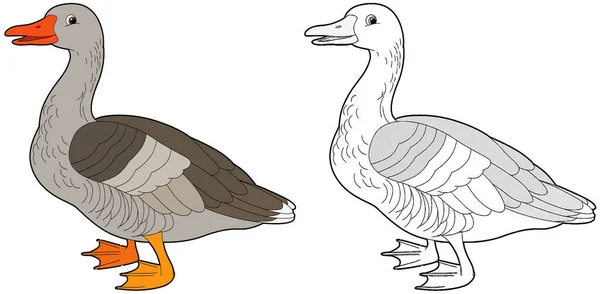 Cartoon Sketch Scene Goose White Background Illustration Children — Stock Photo, Image