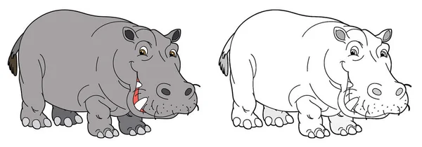 Tecknad Skiss Scen Med Flodhäst Flodhäst Vit Bakgrund Illustration För — Stockfoto