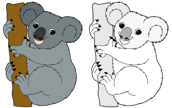 Escena Dibujos Animados Con Koala Sobre Fondo Blanco Ilustración Para —  Fotos de Stock