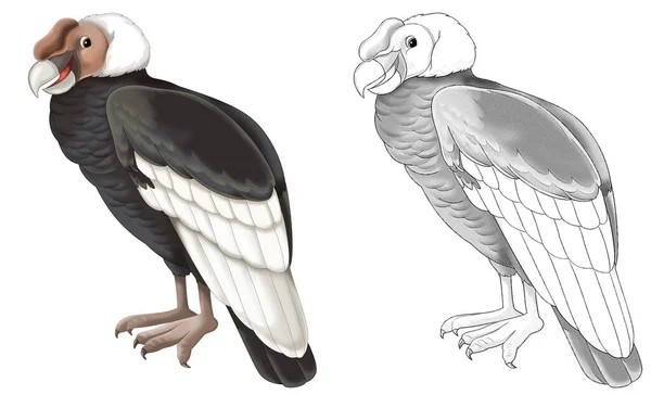 Bozzetto Cartone Animato Scena Con Avvoltoio Condor Sfondo Bianco Illustrazione — Foto Stock