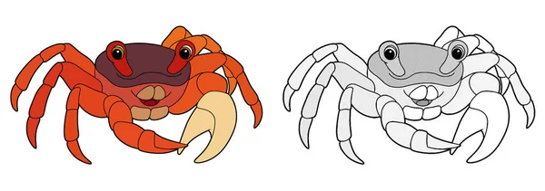 Cartoon Schets Scène Met Krab Witte Achtergrond Illustratie Voor Kinderen — Stockfoto