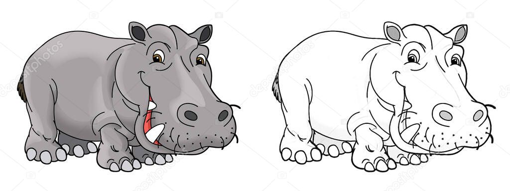 cartoon sketch scene with hippo hippopotamus on white background - illustration for children