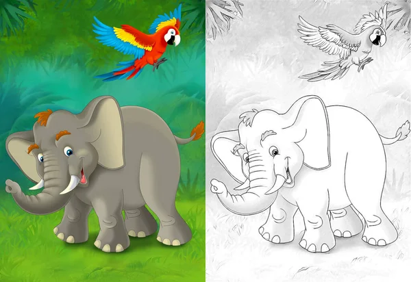 cartoon sketch scene with elephant in the forest - illustration for children