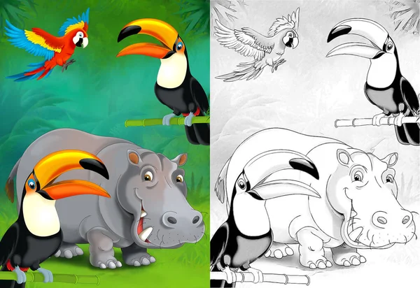 Szkic Kreskówki Hipopotamem Hipopotamem Lesie Ilustracja Dla Dzieci — Zdjęcie stockowe
