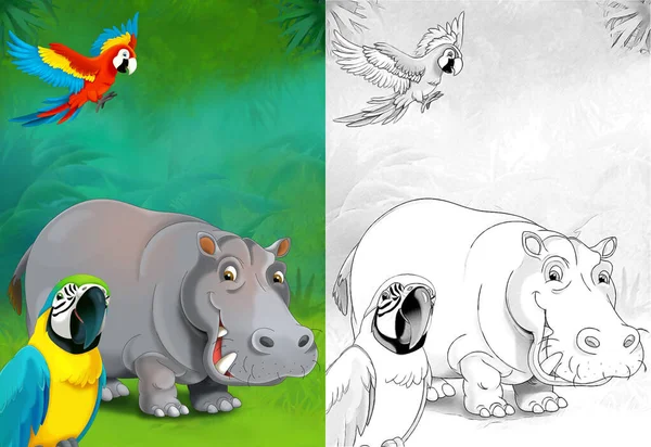 cartoon sketch scene with hippo hippopotamus in the forest - illustration for children