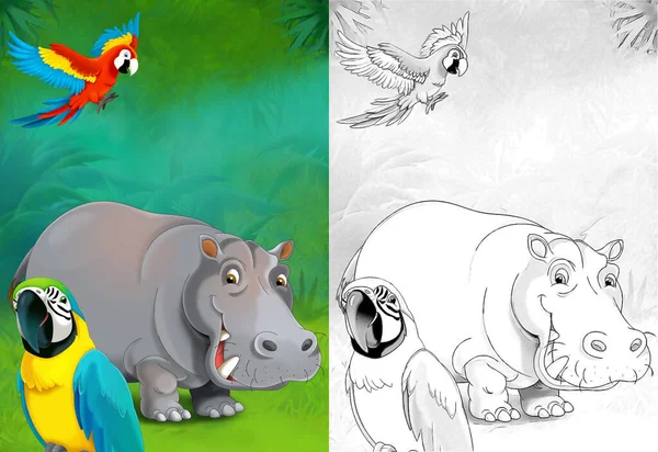 Szkic Kreskówki Hipopotamem Hipopotamem Lesie Ilustracja Dla Dzieci — Zdjęcie stockowe
