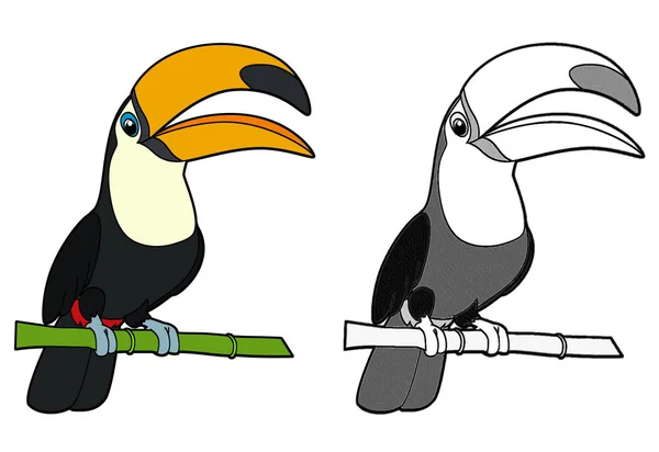 Cartoon Sketch Scene Toucan Bird White Background Illustration Children — Stock Photo, Image