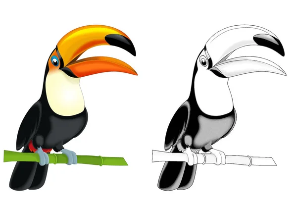 Kreslená Skica Scéna Toucan Pták Bílém Pozadí Ilustrace Pro Děti — Stock fotografie