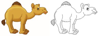 Çizimli hayvan deve dromedary çizgi filmi - çocuklar için çizim