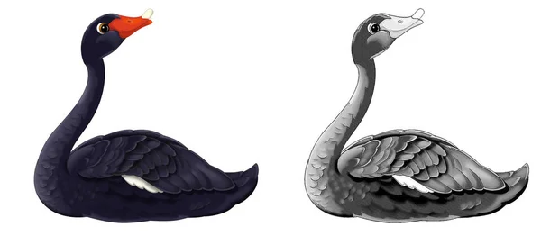 Cartoon Happy Scene Sketch Swan Bird Animal Illustration Children — Stock Photo, Image