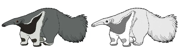 Desenho Animado Cena Com Animal Formiga Comedor Fundo Branco Ilustração — Fotografia de Stock