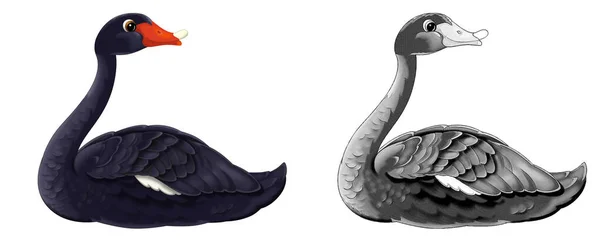 Dibujo Animado Escena Feliz Con Dibujo Cisne Animal Pájaro Ilustración — Foto de Stock