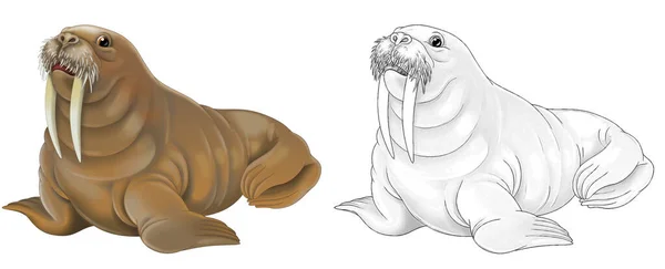 Cartoon Schets Scène Met Poolpoolpooldier Walrus Witte Achtergrond Illustratie Voor — Stockfoto