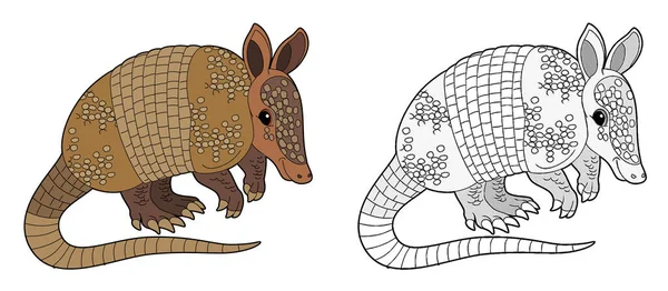 Cartoon Schets Scène Met Armadillo Witte Achtergrond Illustratie Voor Kinderen — Stockfoto