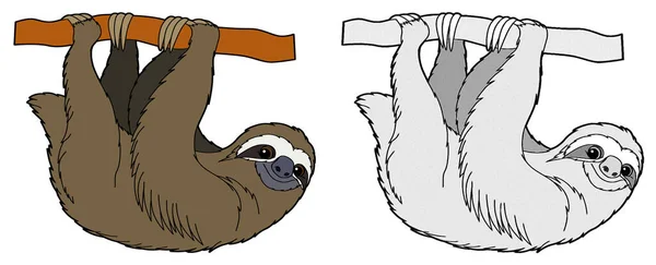 Καρτούν Ευτυχισμένη Σκηνή Σκίτσο Sloth Ζώο Εικονογράφηση Για Παιδιά — Φωτογραφία Αρχείου