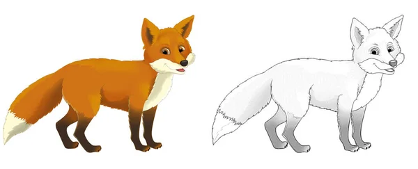 Scène Dessin Animé Avec Renard Animal Avec Croquis Illustration Pour — Photo