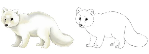 スケッチ付きの北極キツネの動物と漫画シーン イラスト 子供のための — ストック写真