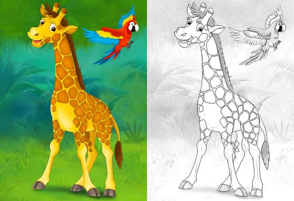 Ormanda Zürafanın Olduğu Karikatür Çizimi Çocuklar Için Illüstrasyon — Stok fotoğraf