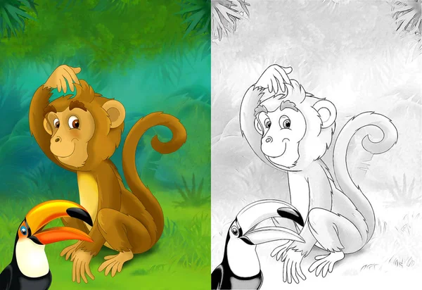 Dessin Animé Scène Avec Singe Singe Dans Forêt Illustration Pour — Photo