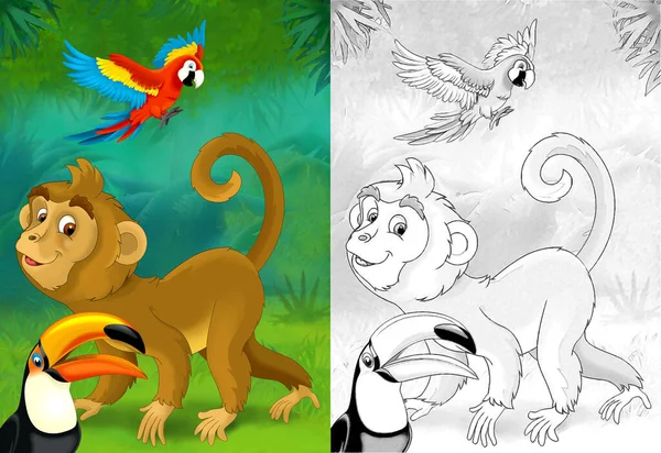 森の猿と漫画のスケッチシーン イラスト 子供向けイラスト — ストック写真