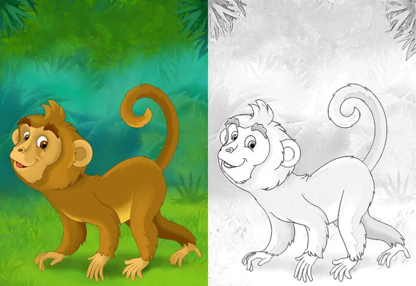 Escena Dibujos Animados Con Mono Mono Bosque Ilustración Para Niños —  Fotos de Stock