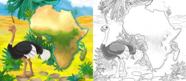 Devekuşu kuşunun vahşi hayvanın çizdiği karikatür sahnesi. Çocuklar için illüstrasyon.