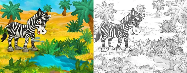 Cartoon Schets Scène Met Wild Dier Door Oase Zebra Illustratie — Stockfoto