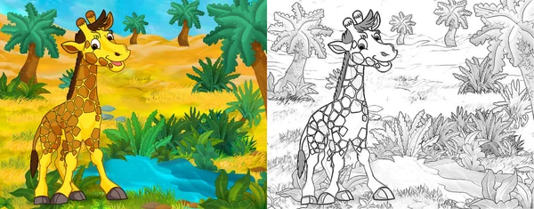 cartoon sketch scene with wild animal by oasis giraffe - illustration for children