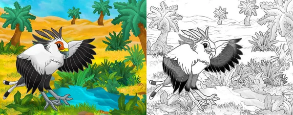 Desenho Animado Cena Esboço Com Animal Selvagem Por Oásis Pássaro — Fotografia de Stock