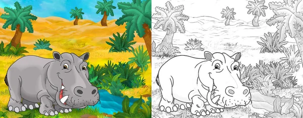 cartoon sketch scene with wild animal by oasis hippo hippopotamus - illustration for children