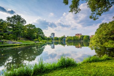 Central Park'ta, Manhattan, New York'un Harlem Meer.