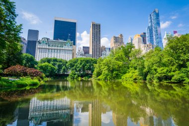 Manhattan, New York City Central Park'ta gölet
