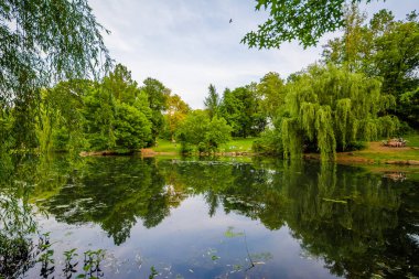 Manhattan, New York City Central Park'ta havuzu
