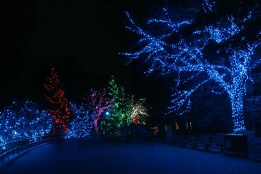 ZooLights, Washington, Dc Smithsonian Ulusal Hayvanat bahçesinde